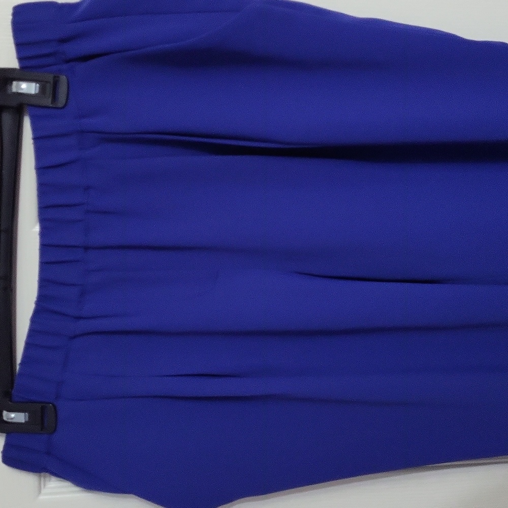 Express Royal Blue Women's Trousers - Picture 3 of 10